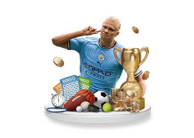 大赢家体育体育App