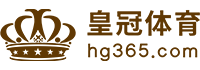 Logo 大赢家体育